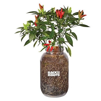 Gifts for Dad